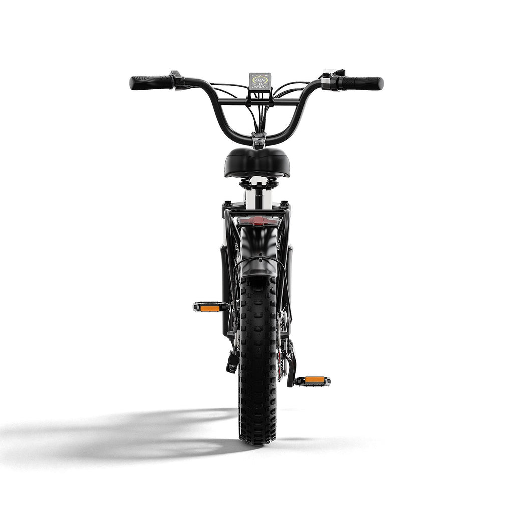 Combo-EK10 26" Through Ebike