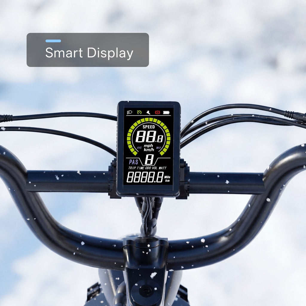 Combo-EK10 26" Through Ebike