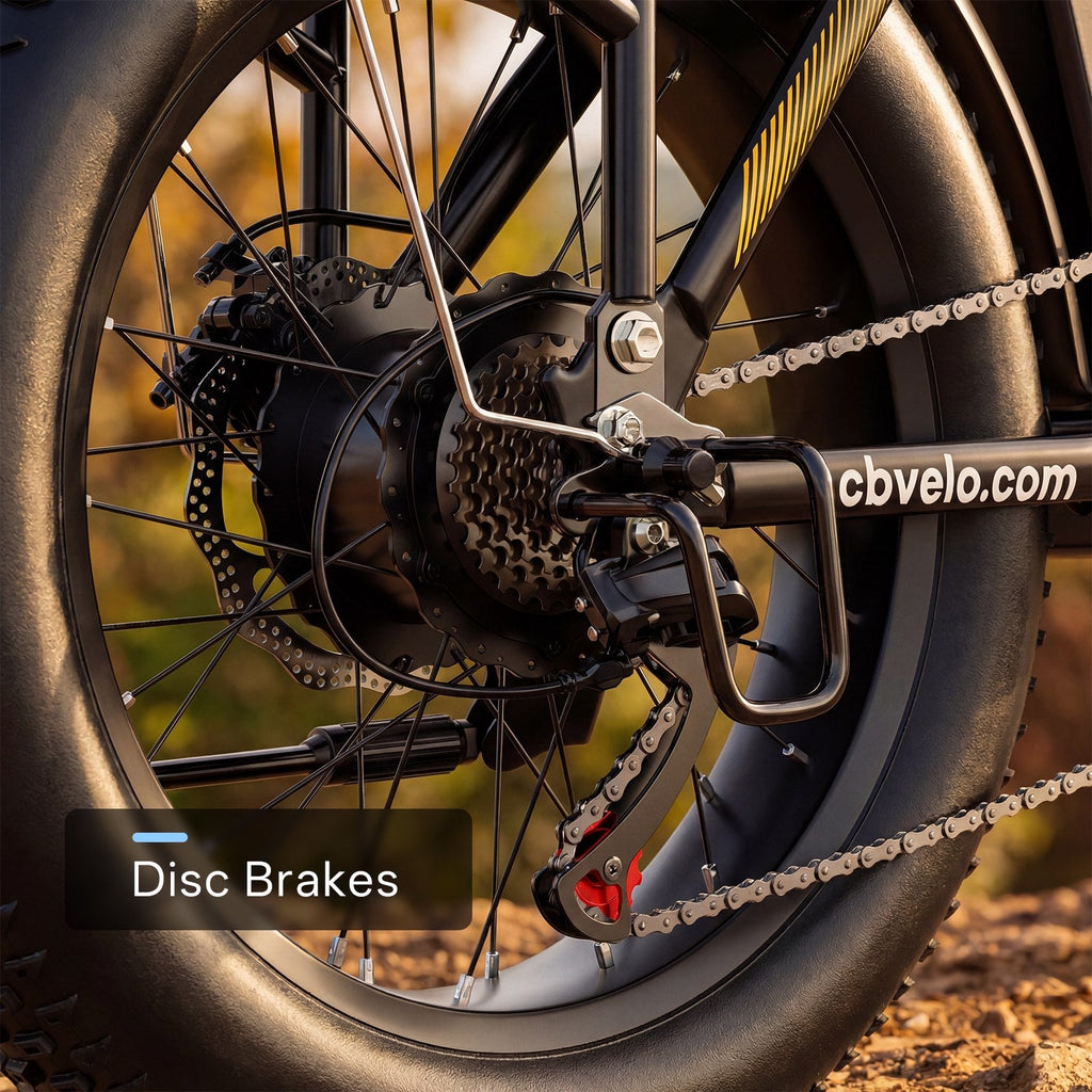 Combo-EK4+Mars700 Folding Ebike